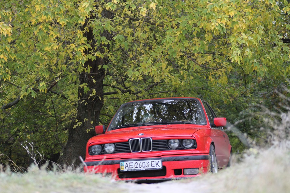 photos) 1