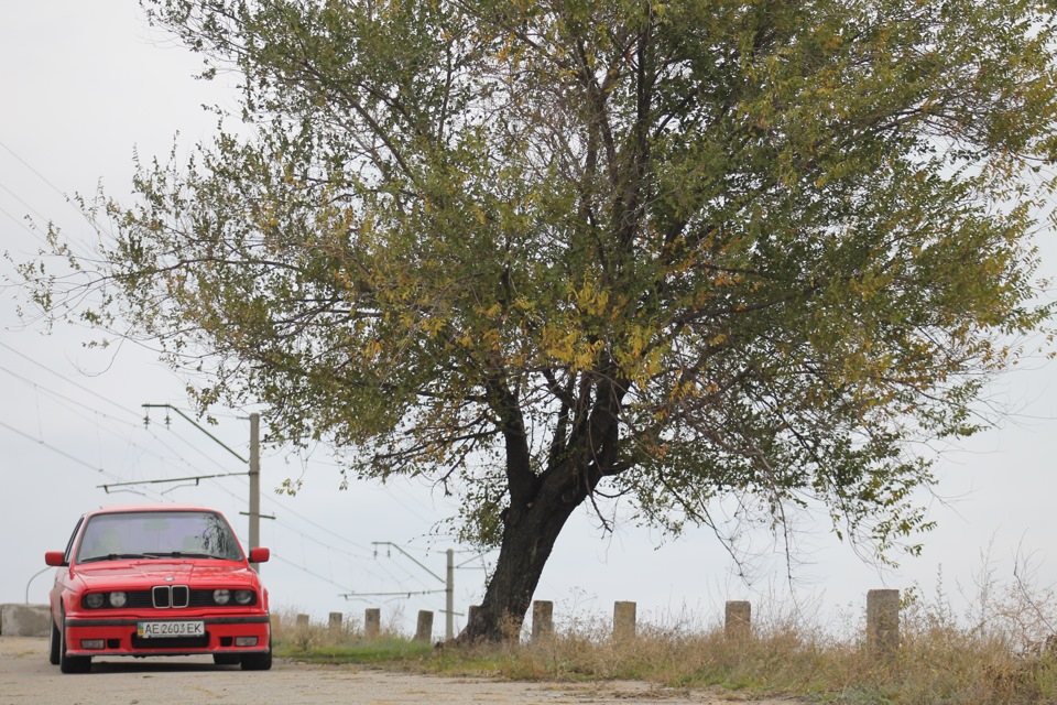 photos) 3