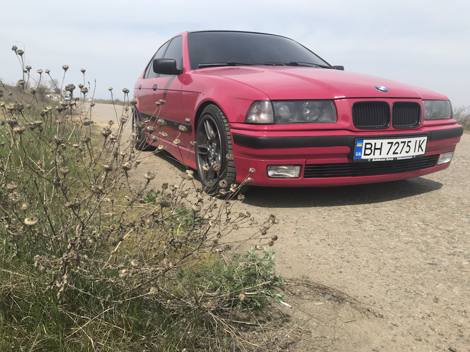 New project 🚘 5
