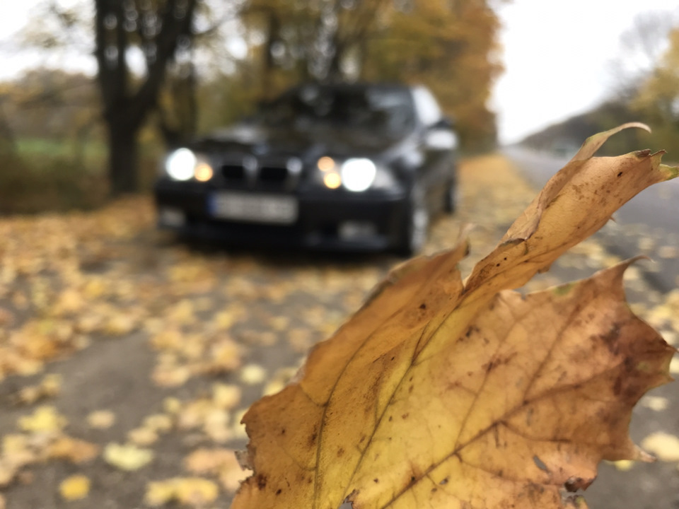 Осінь 🍂 частина 2 3