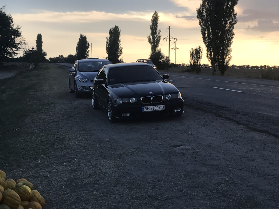 Пост Нема про що 🐈‍⬛ 5