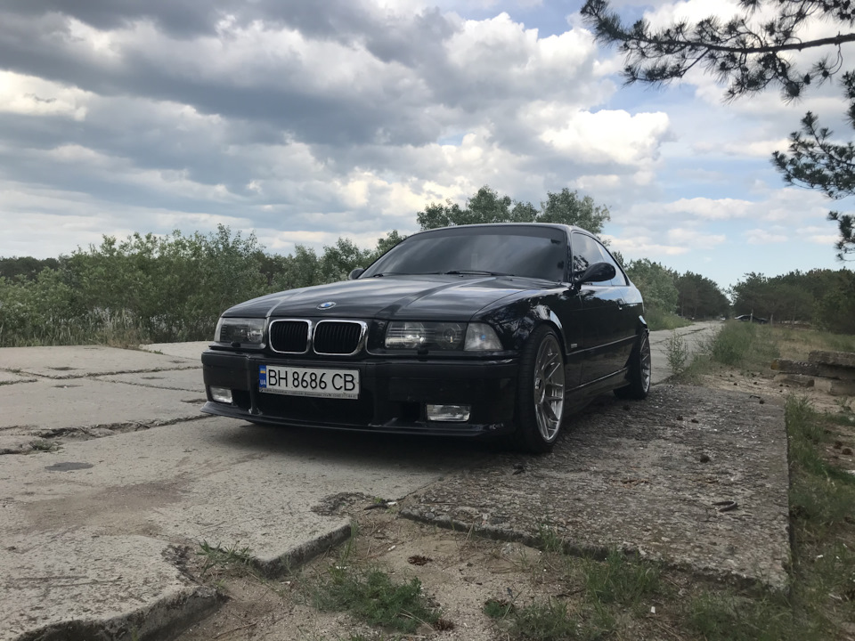 Прогулянка в заповідник 🌲🦩 3