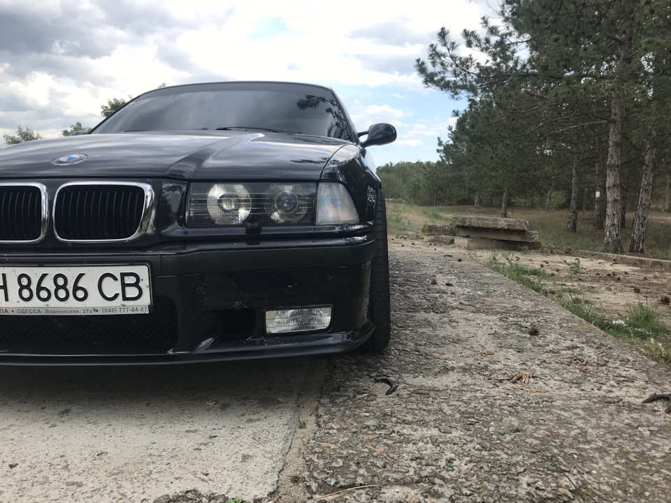 Прогулянка в заповідник 🌲🦩 4