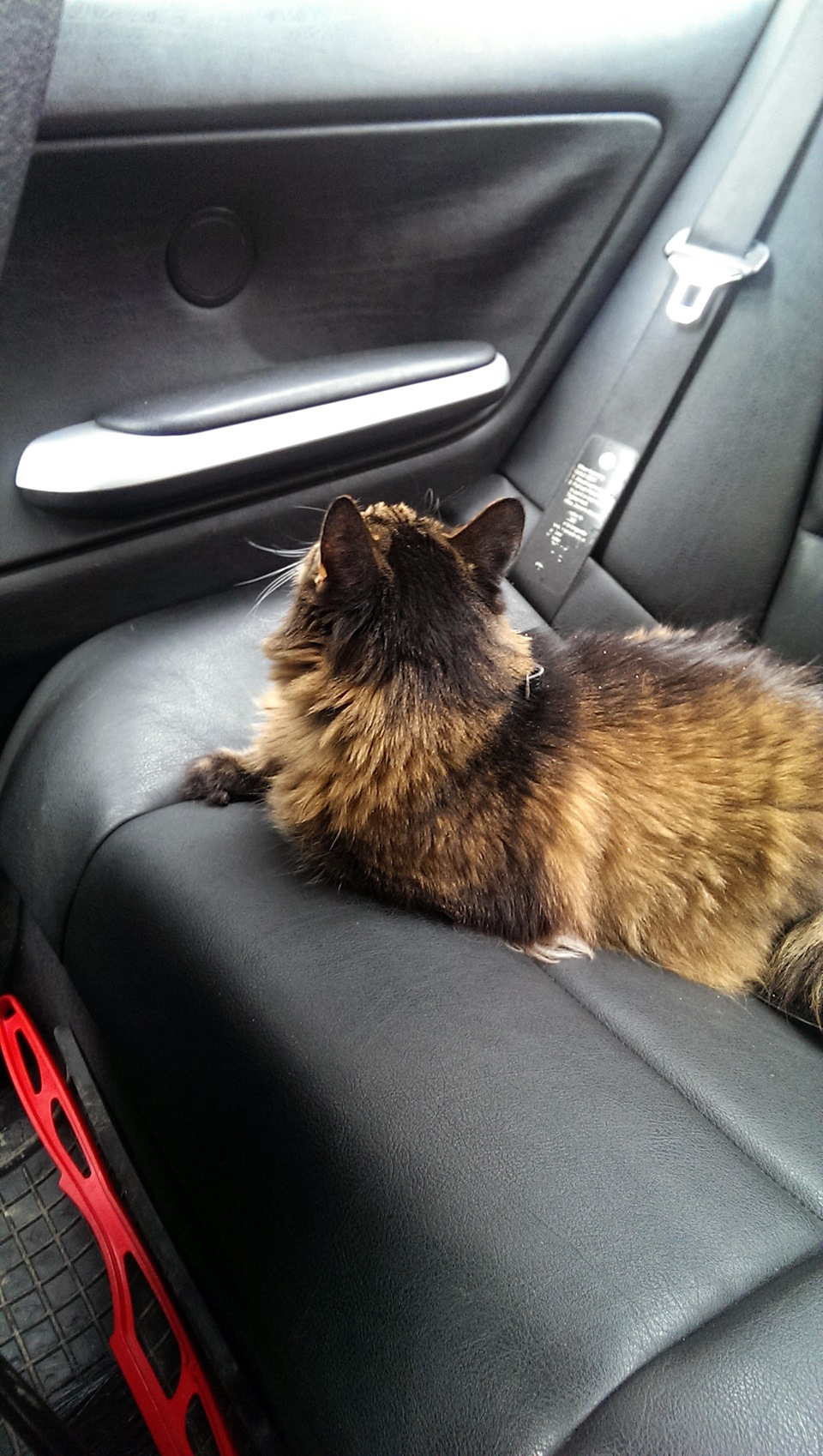Котяра в BMW) 5