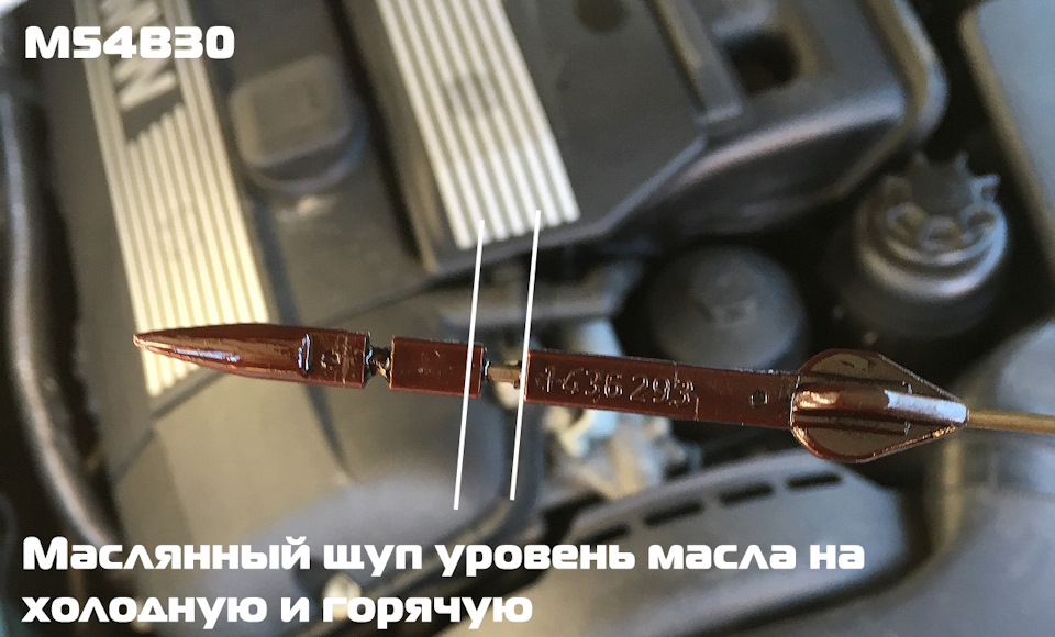 Як правильно дивитися рівень масла в bmw 4