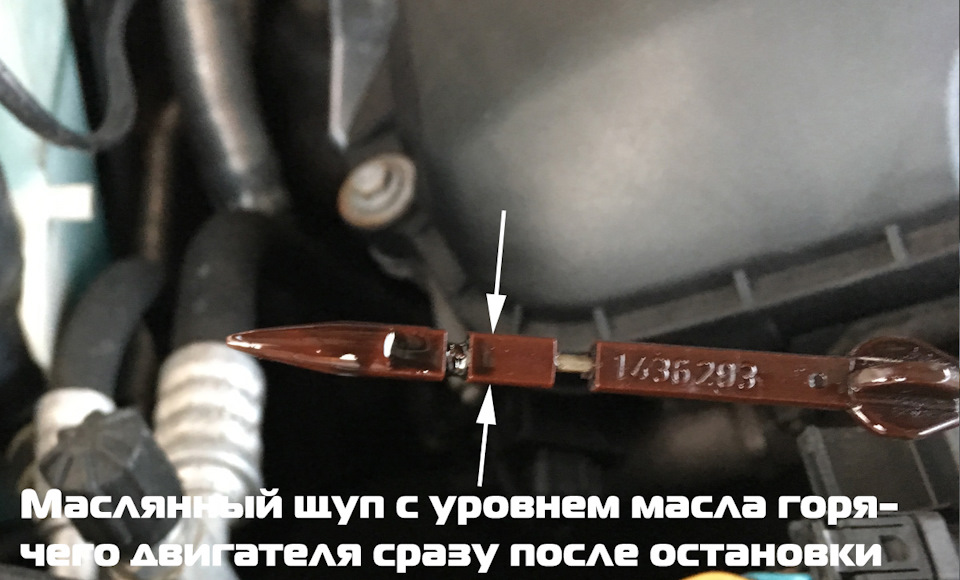 Як правильно дивитися рівень масла в bmw 2