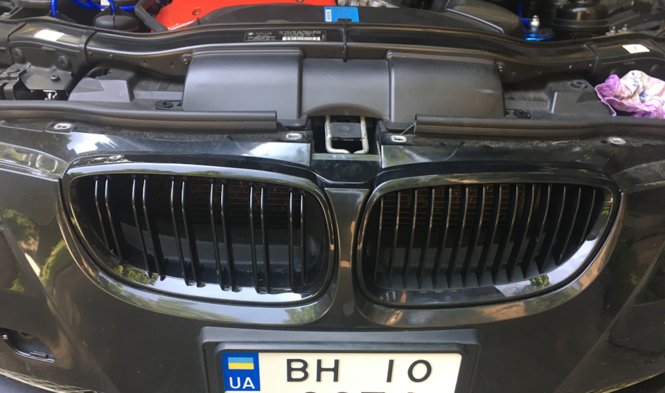Грати радіатора (Ноздрі) BMW Performance 4