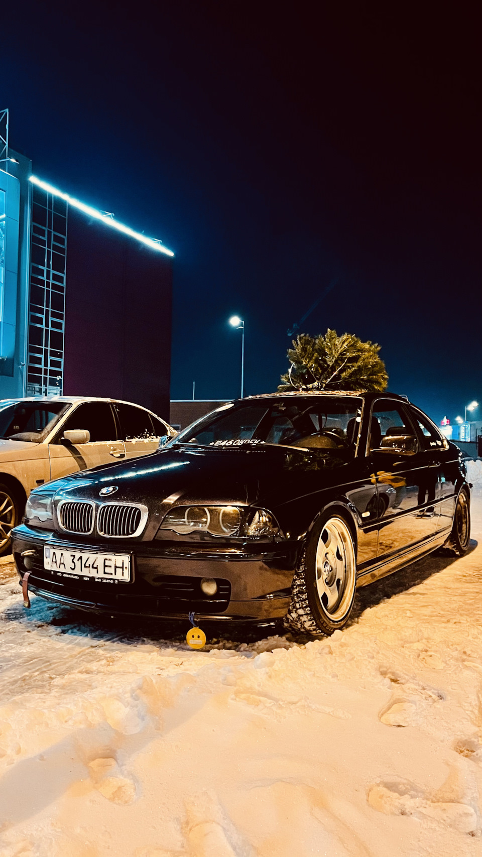 Сніговий апокаліпсис 3