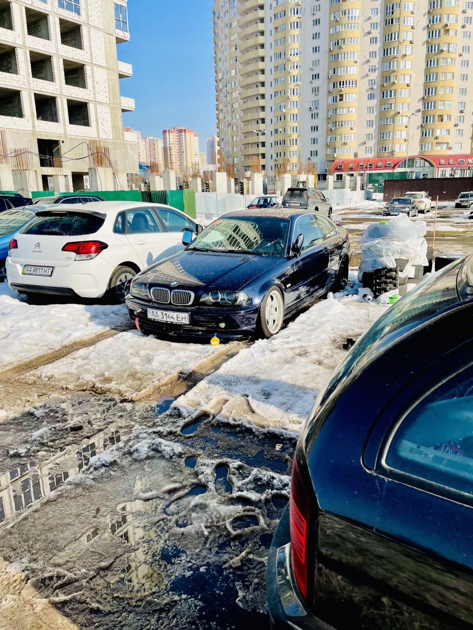 Жабо 1