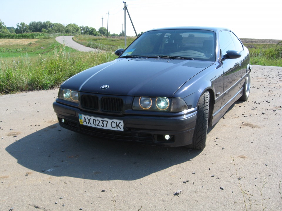 Продам свою улюбленицю 1