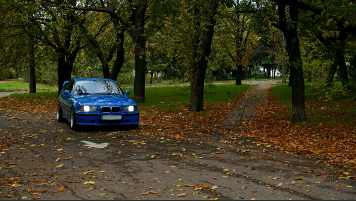 Діагностика, навіть дві 1