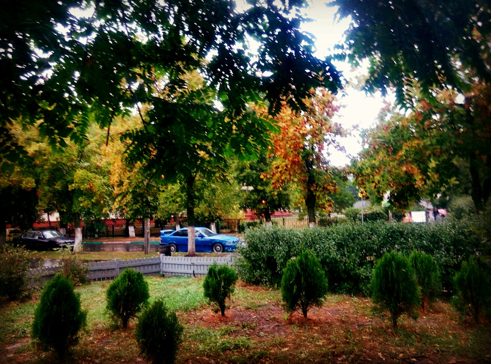 фотосет із шикарною моделлю біля мого авто） 1