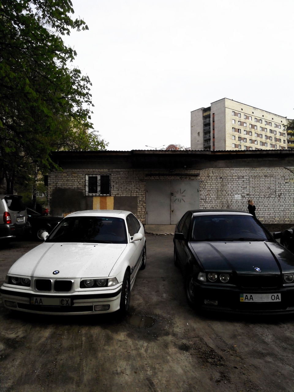 Пара фоточок 3