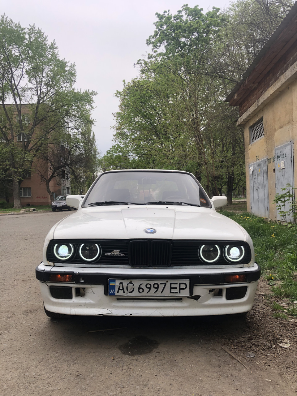 Ваблячі очі 5