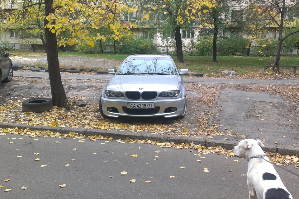 Вранці 1