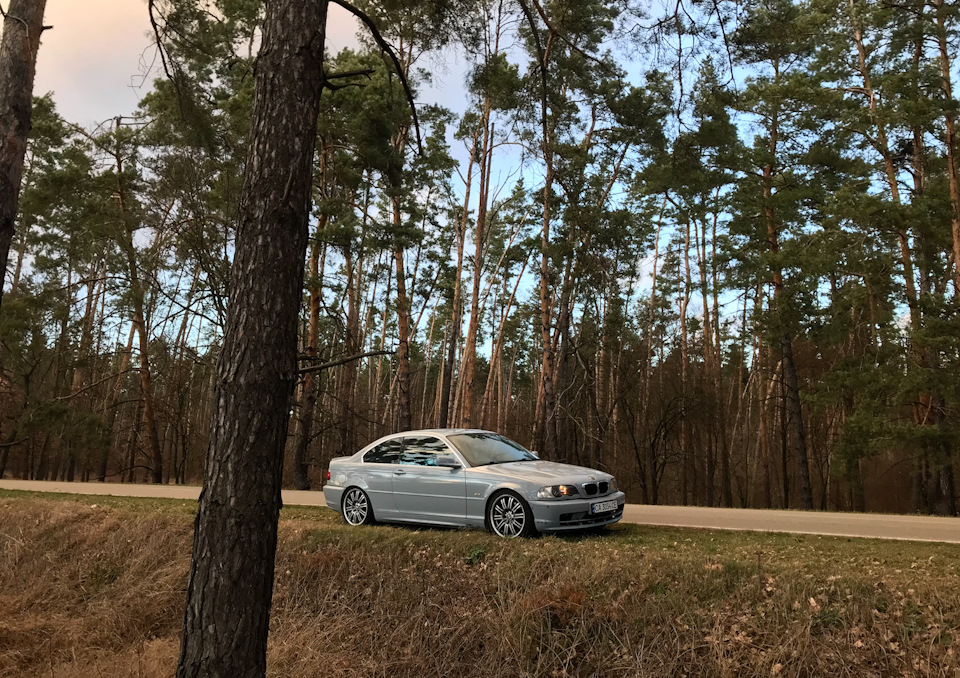 ⤴ Дорога вихідного дня 2: лісовий СУ #petrolheads_only❗ 2