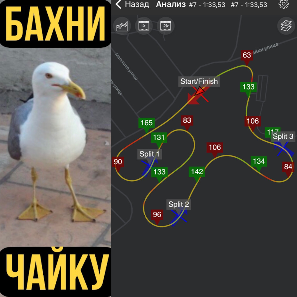 🏁 Трекдень на Чайці ! #рекорд 1