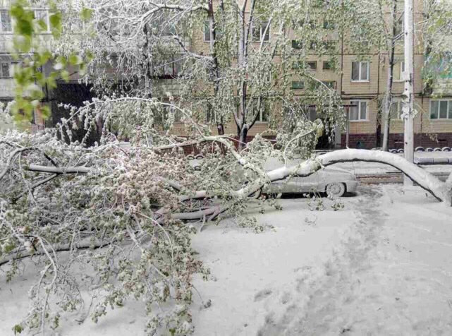 У природи немає поганої погоди... 2