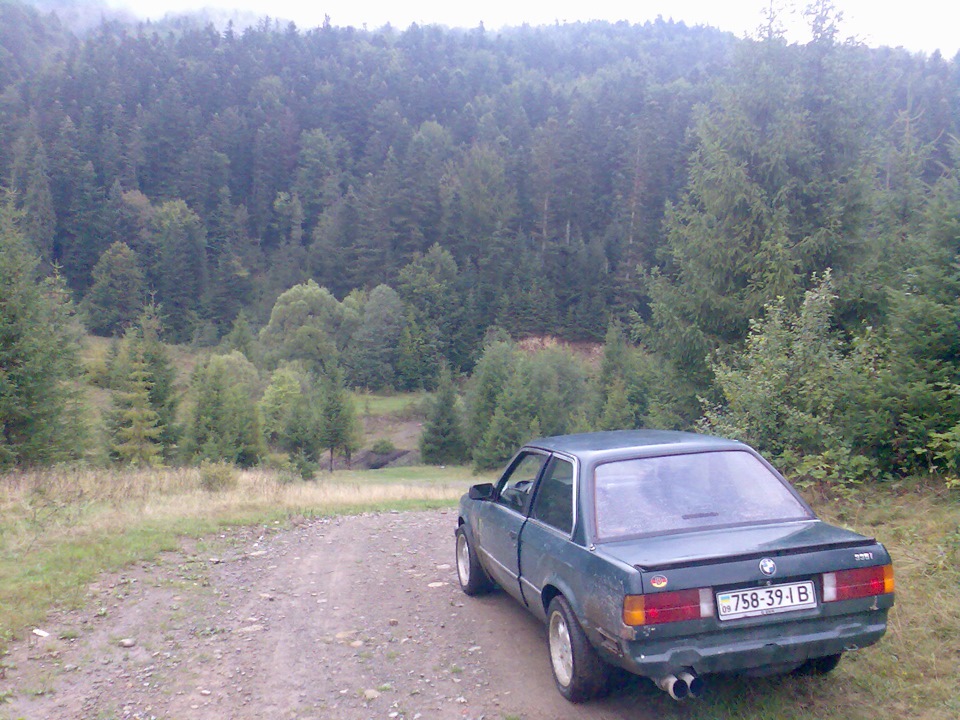 Знову нові ліхтарі ... 5