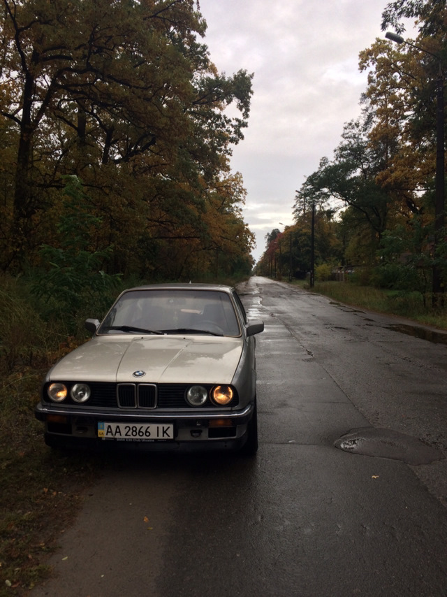 Трохи осінніх фото 1