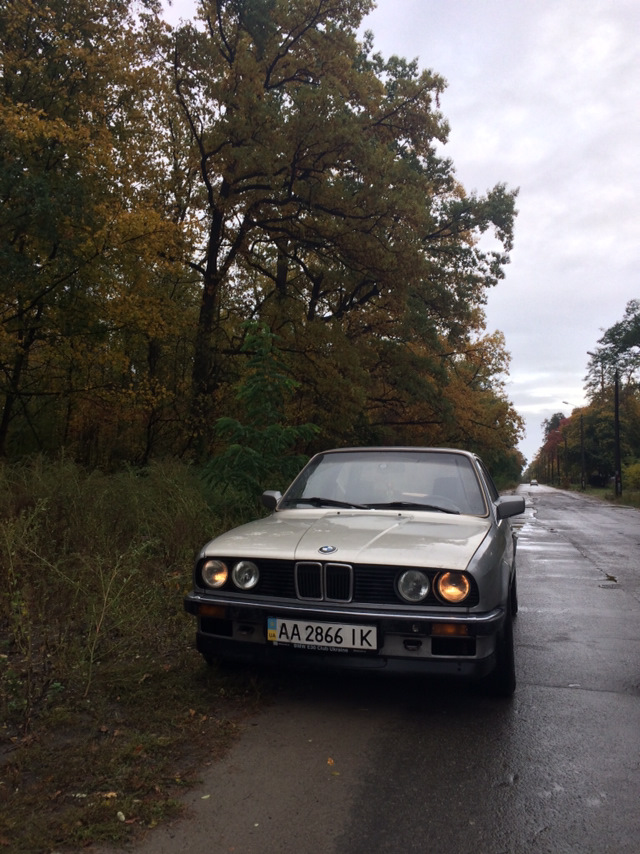 Трохи осінніх фото 2