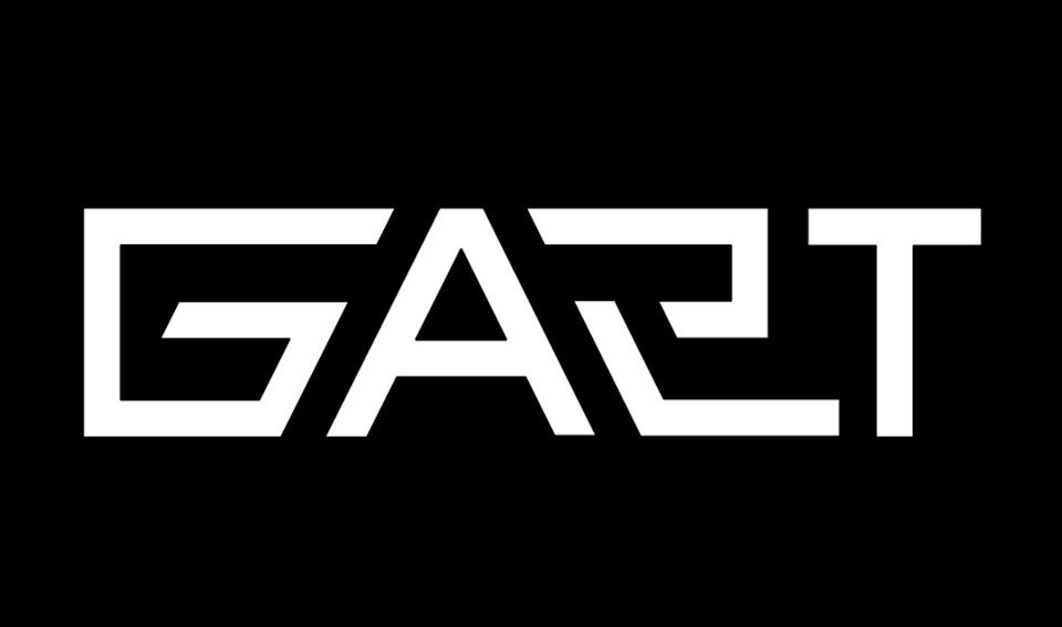 Чесний відгук про Gart Performance 1