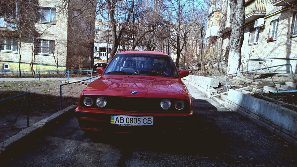 Весна прийшла 4
