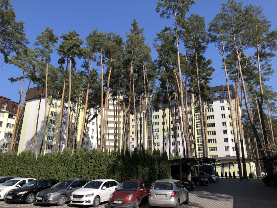 4. Перший дальняк 2