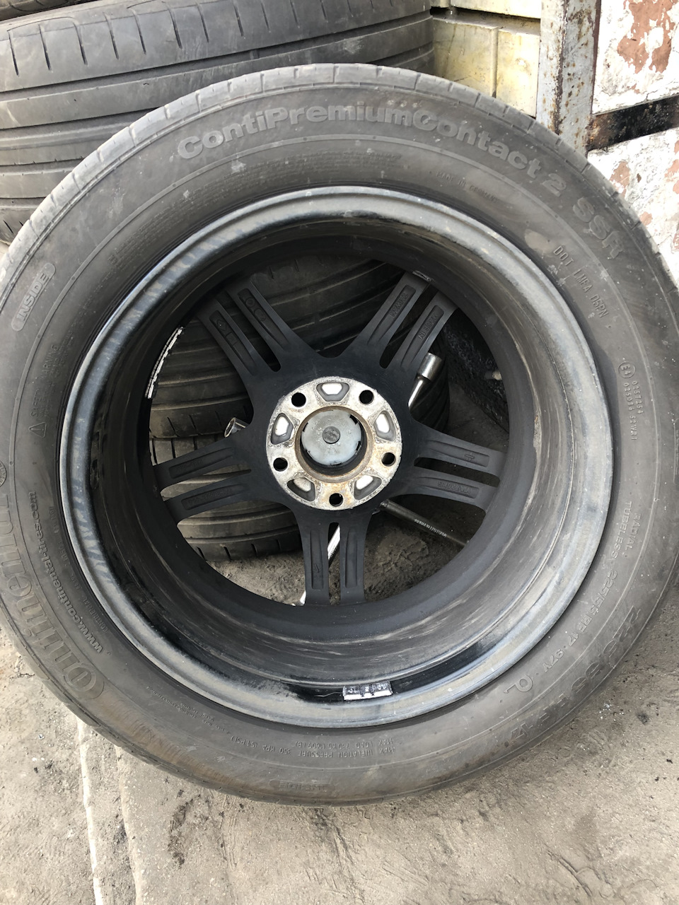 Спостереження або 7000 км. 2