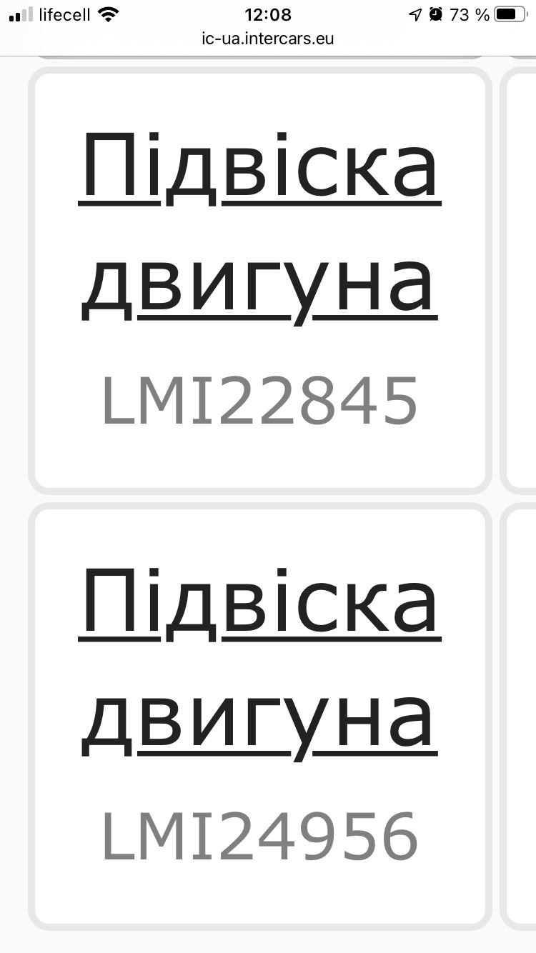 Подушки двигуна фуфел на Лемфердер 1