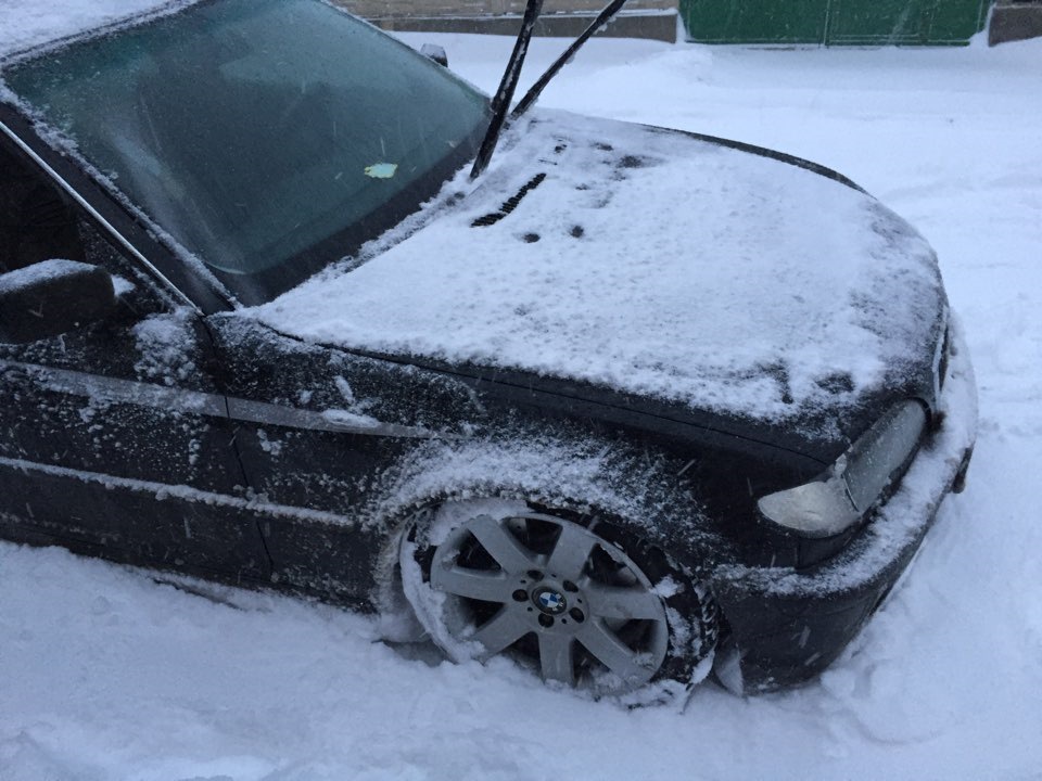 Звіт після зими 2