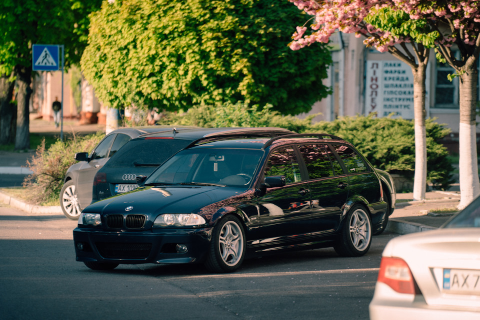 Фото E46 під сакурою 1