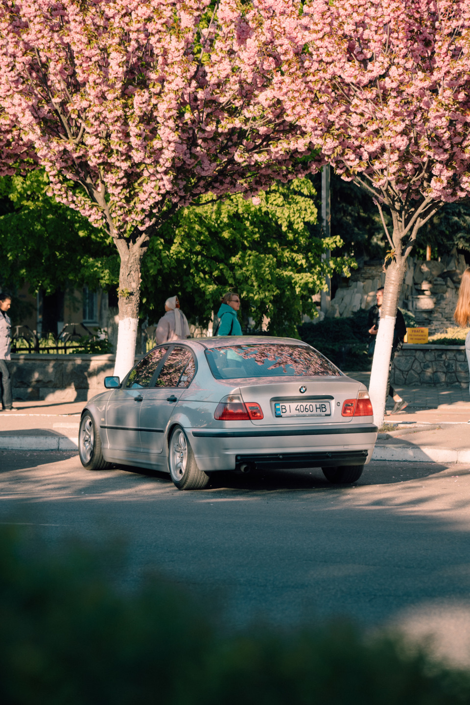 Фото E46 під сакурою 2
