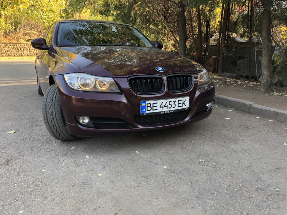 Нові ніздрі 1