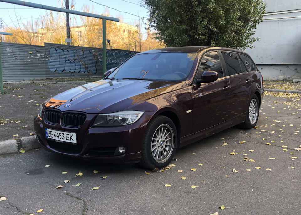 Нові ніздрі 5