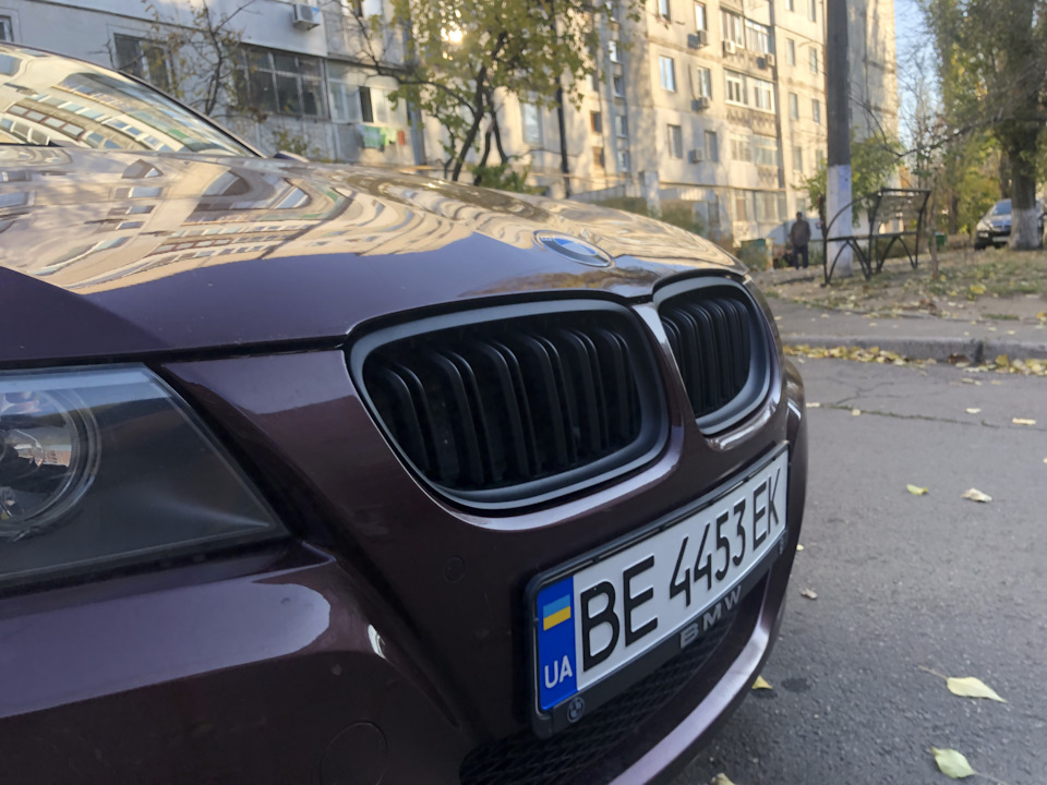 Нові ніздрі 3