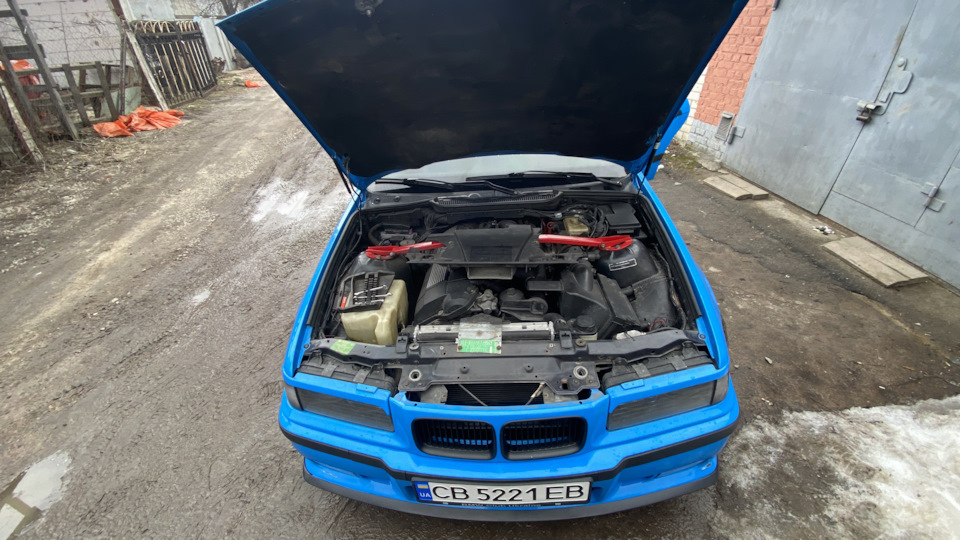 ніздрі хром і зняв вії 4
