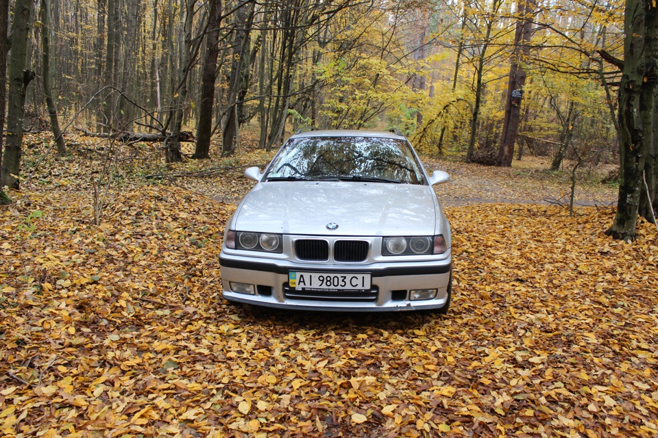 Осень 2013 4
