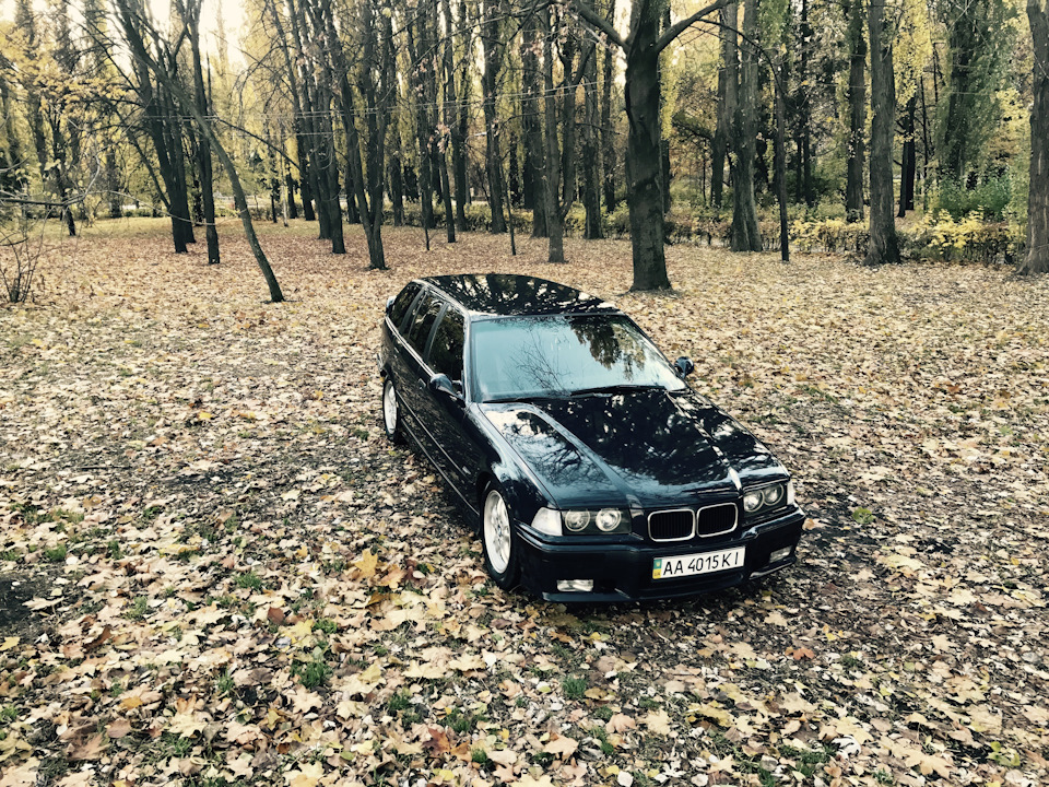 Проблем багато, а радість одна - ФотоОсінь 4