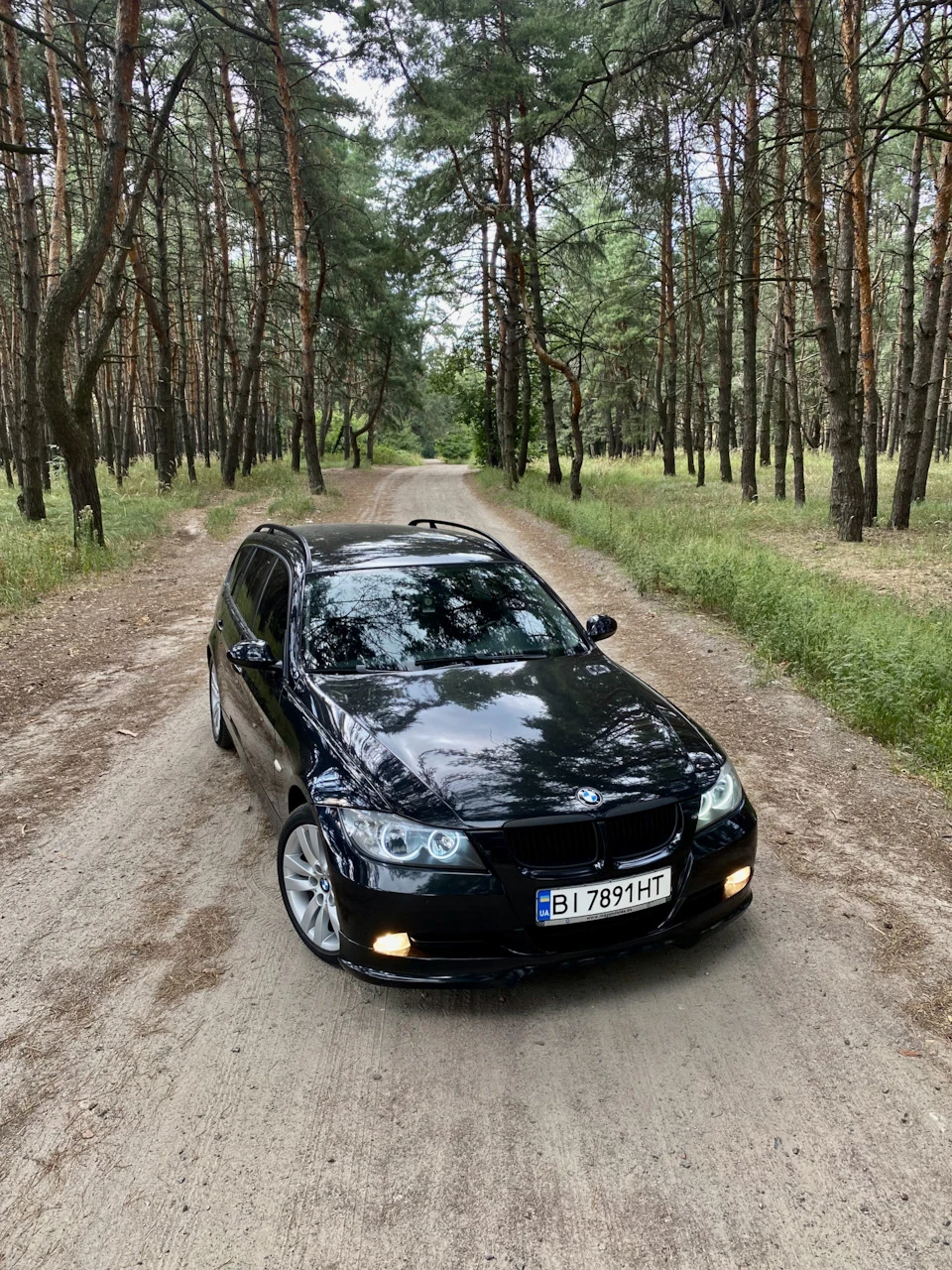 Очі в дорест галоген фари