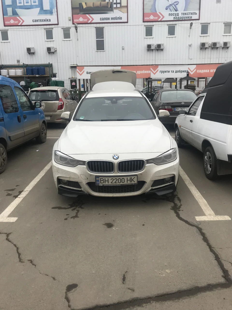 Ікла з Алі