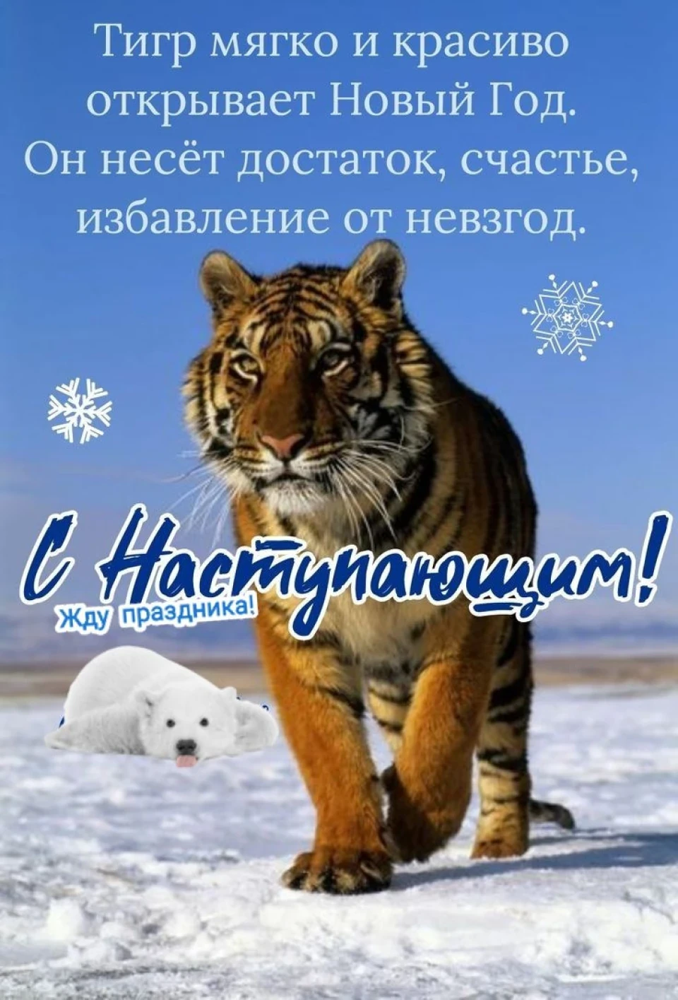Запис, 31 грудня 2021 року