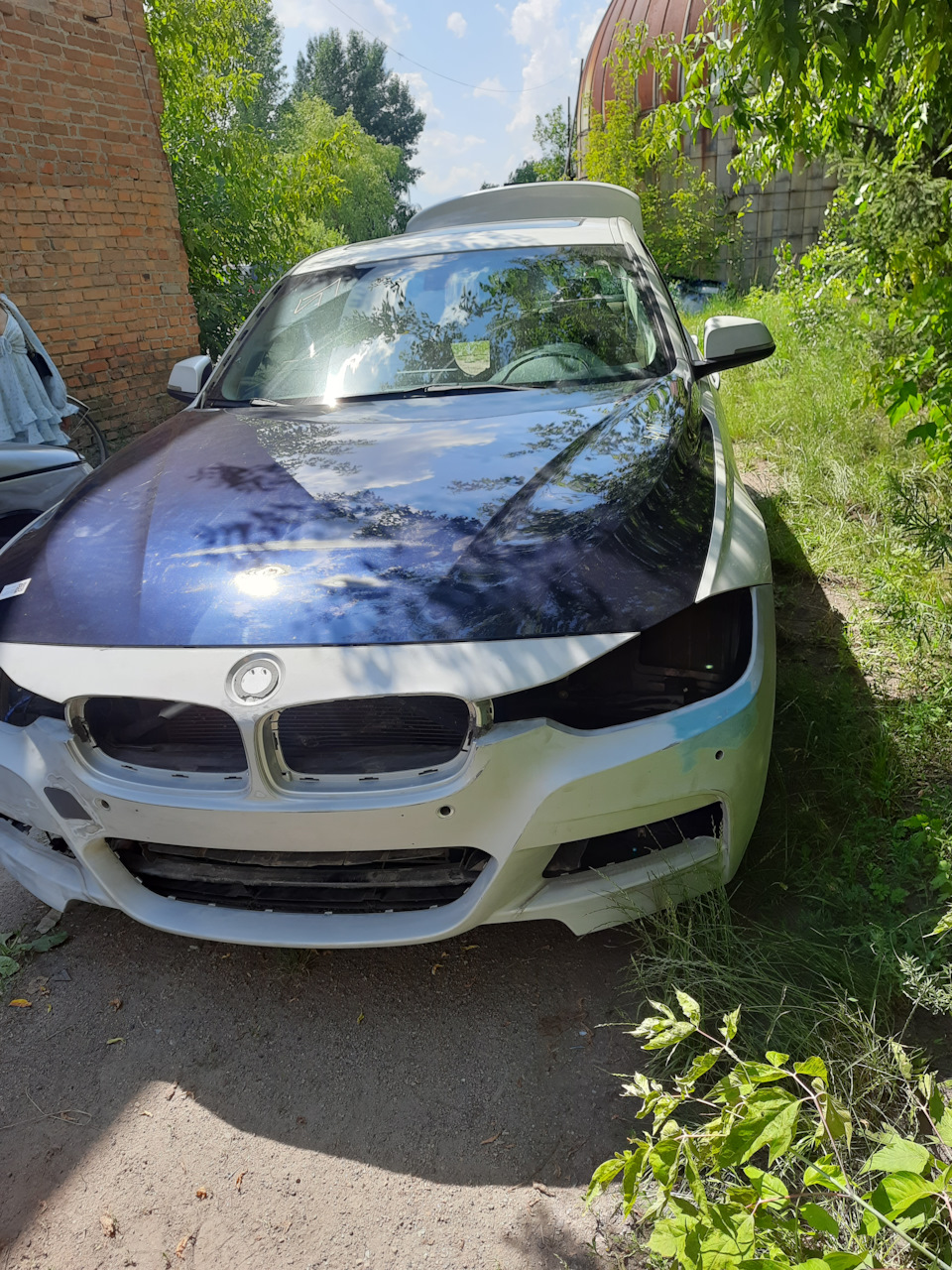 Припливла красуня 3