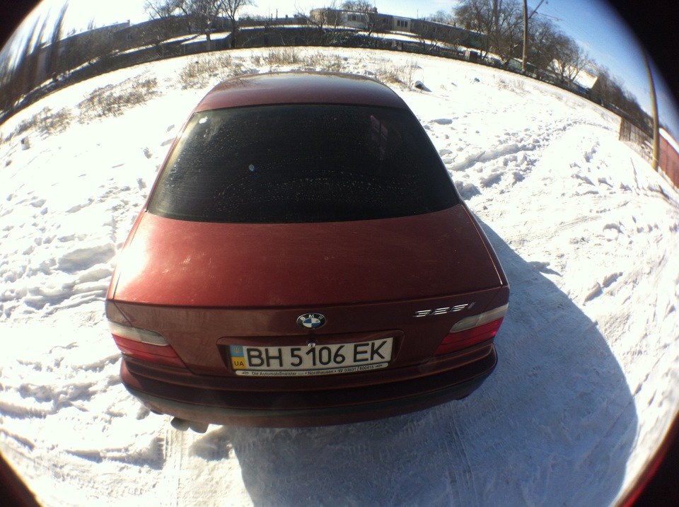 Трохи зимових фоток 5