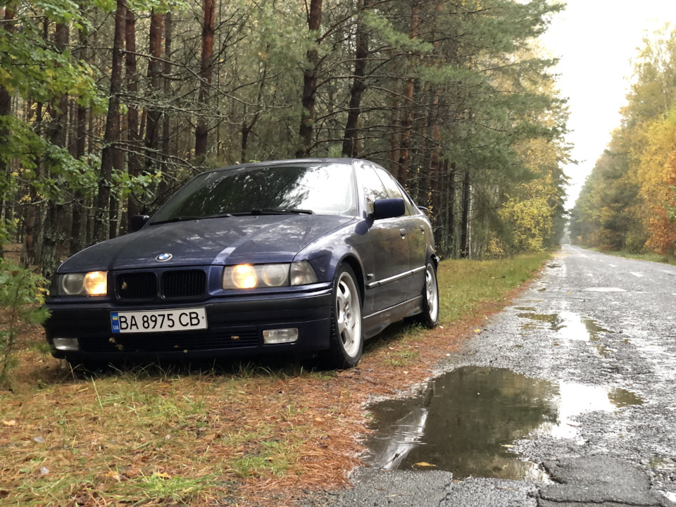 Нічого не ламається, просто фото з лісу;) 1