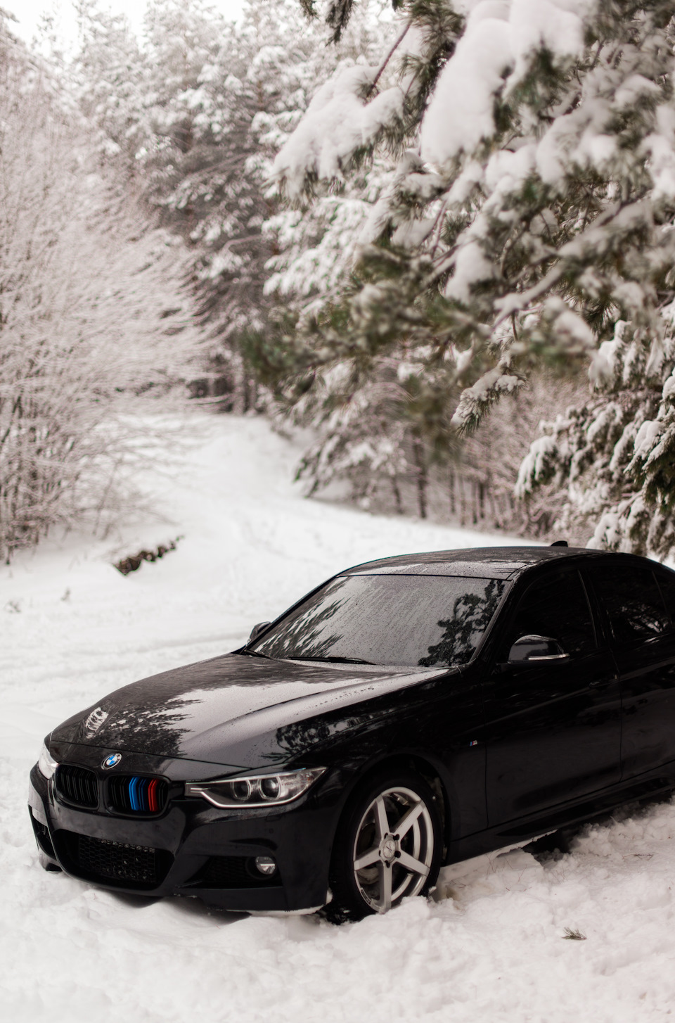 Bmw F30 зима 4