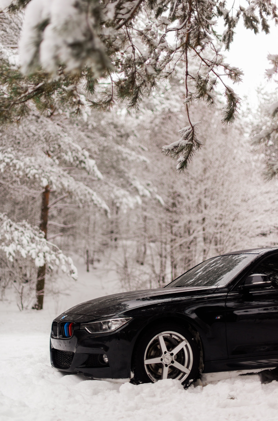 Bmw F30 зима 5