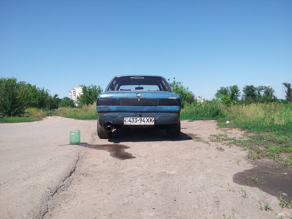 Не великий фотосетик) 4
