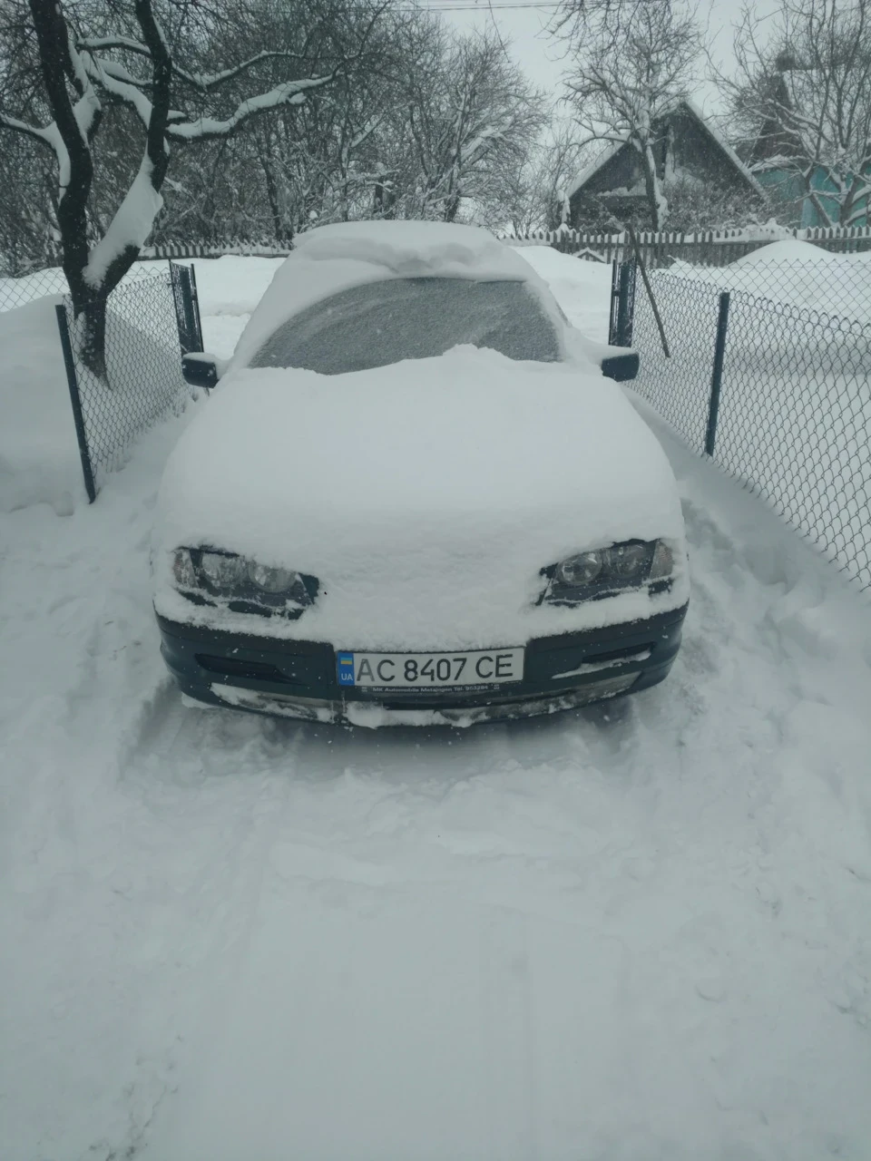 Зима та перші наслідки морозу.