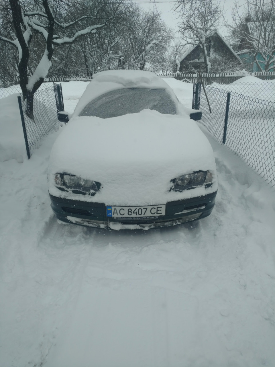 Зима та перші наслідки морозу. 1